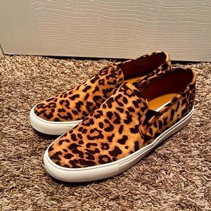 Steve Madden Leopard Slides (NWOT)